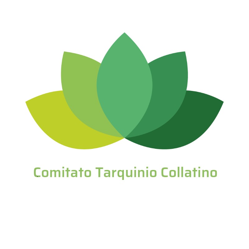 Logo Comitato CTC